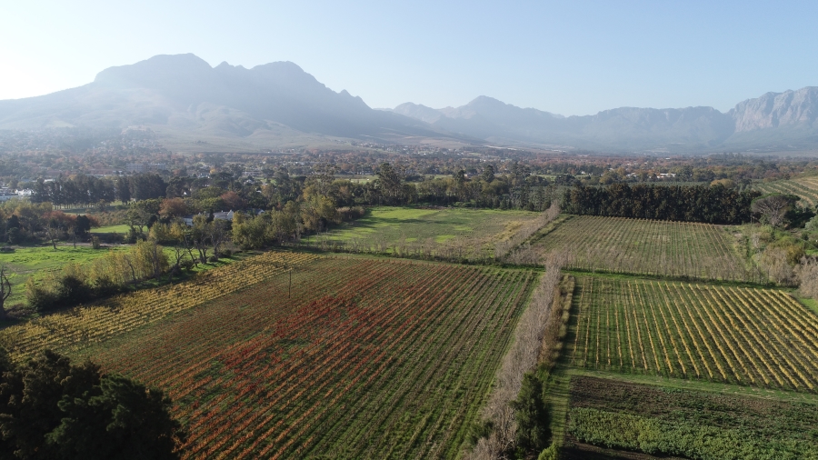 5 Bedroom Property for Sale in Stellenbosch Farms Western Cape